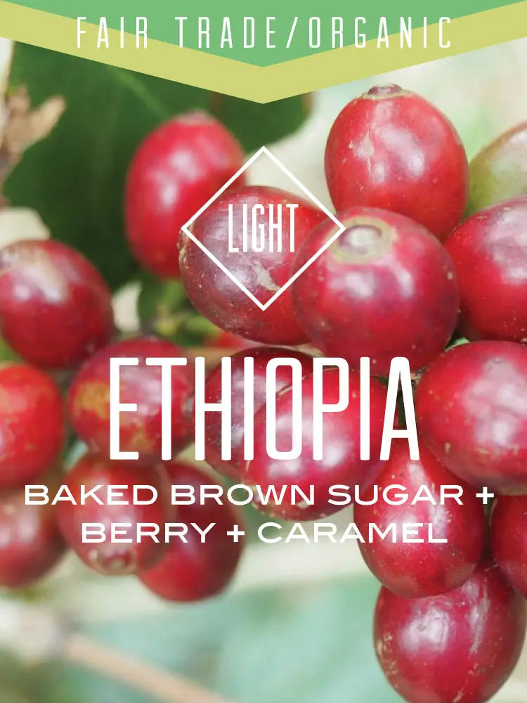 Organic Fair Trade Ethiopia Oromia Natural Centri Coffee