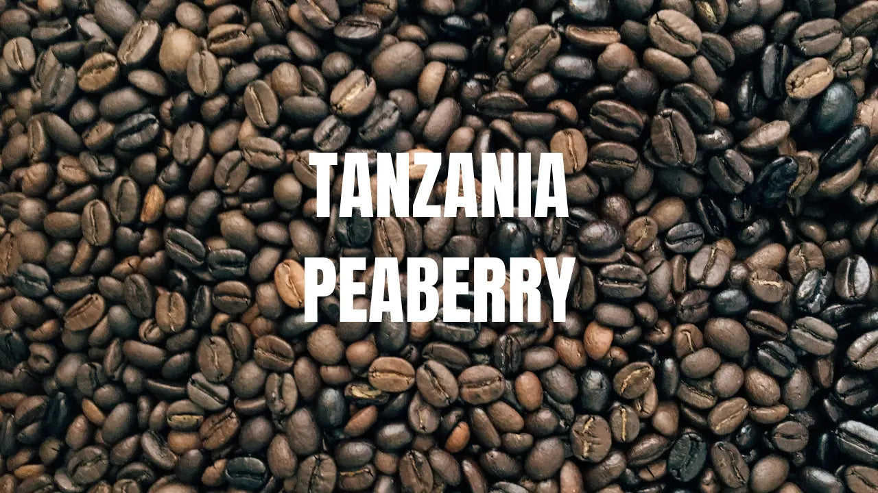 Single-Origin Tanzania Peaberry Youngstown Coffee Co.