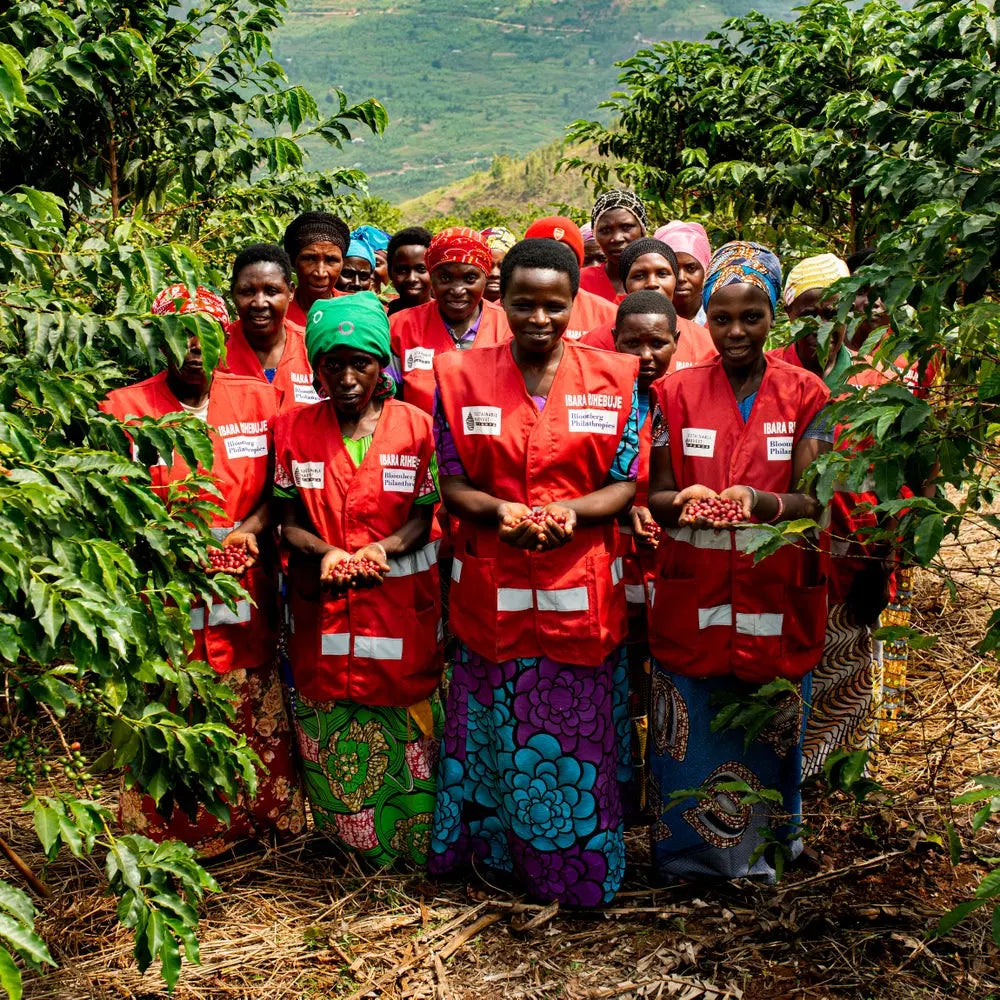 1904: Rwanda Uncharted Coffee Supply