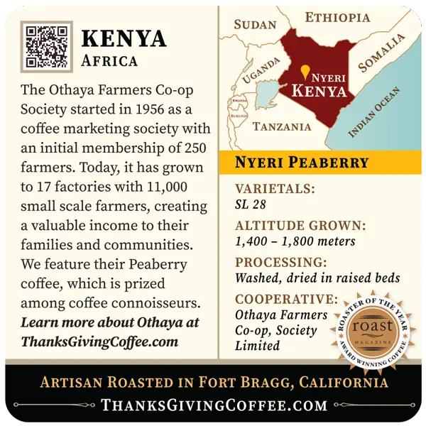 Kenya - Nyeri Peaberry Thanksgiving Coffee Company