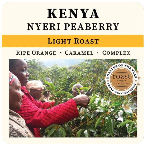 Kenya - Nyeri Peaberry Thanksgiving Coffee Company
