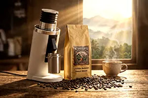 Turin DF54 v3/ v4 Single Dose Flat Burr Grinder Espresso Outlet LLC