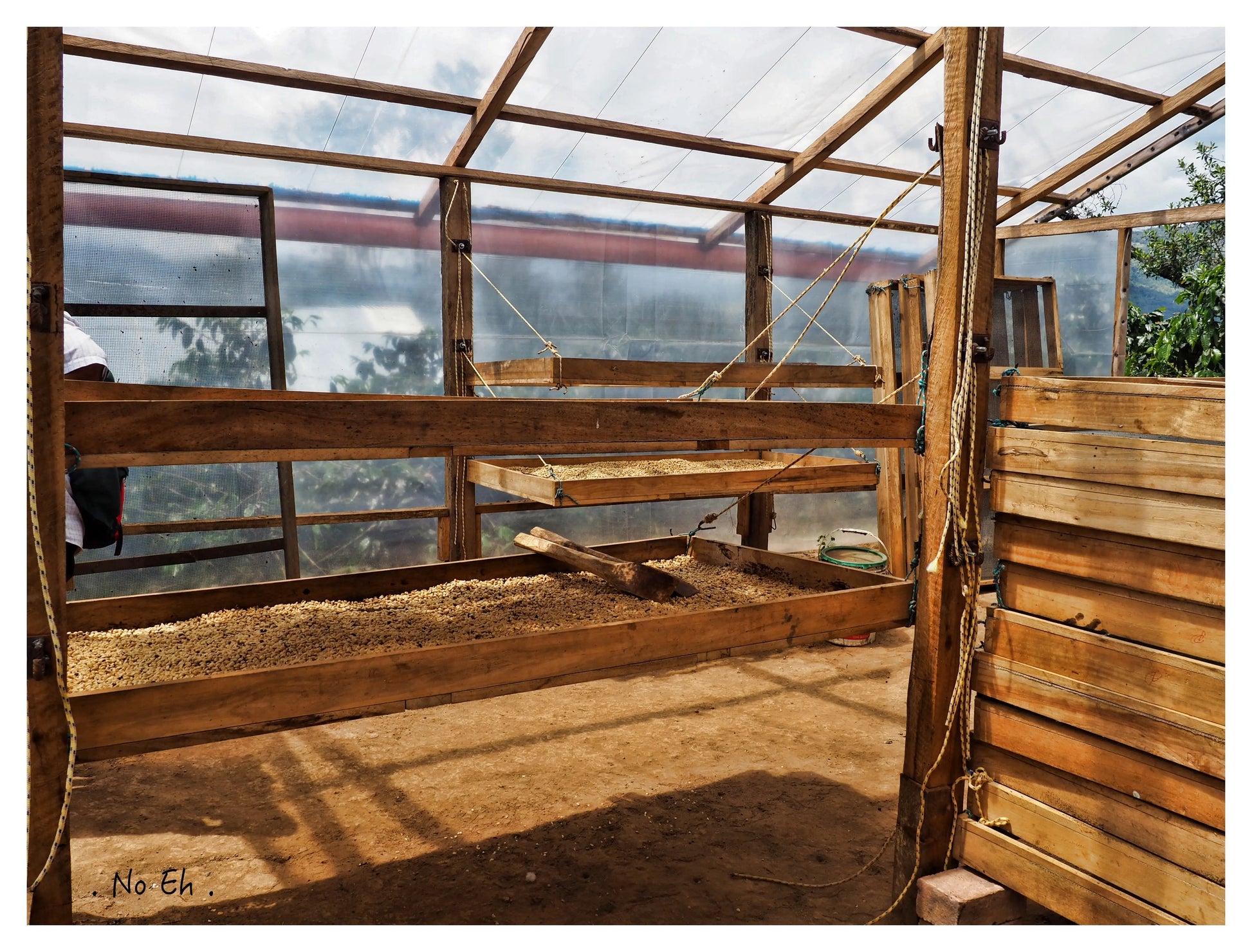 1904: Rwanda Uncharted Coffee Supply