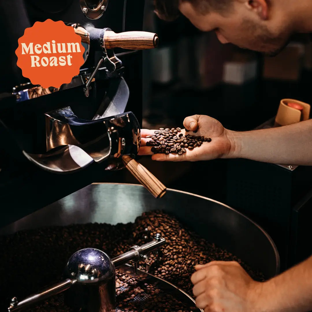 Three Bears | Signature Decaf Blend | Colombia & Mexico | Naturally Decaffeinated Big Bad Decaf