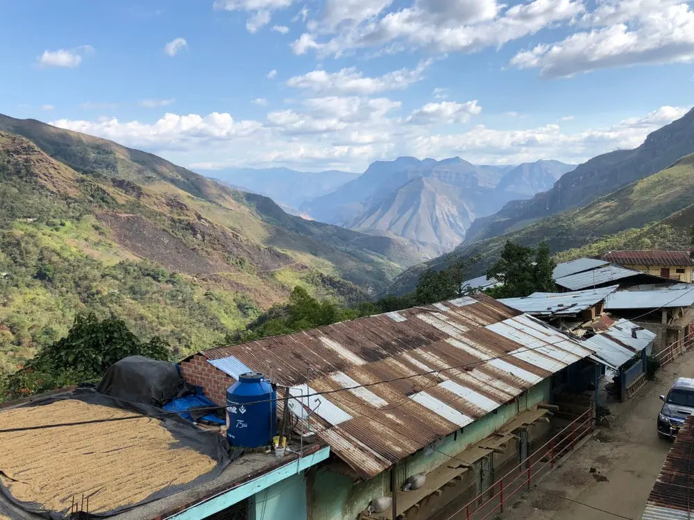 1740: Peru Uncharted Coffee Supply