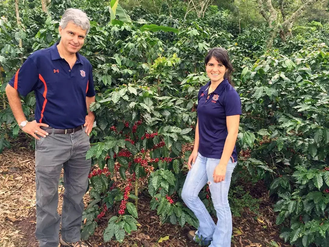 Farmer's Daughter Blend Prevail Coffee