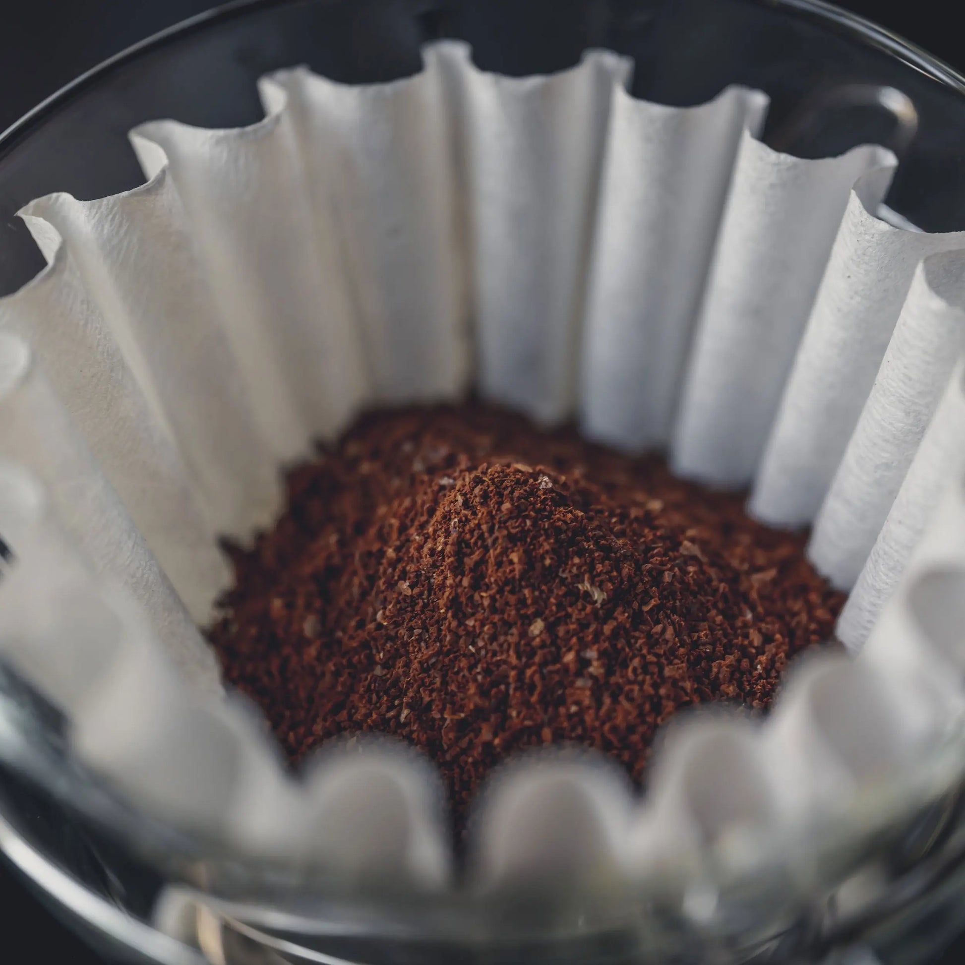 Kalita Wave 185 Paper Filter (100ct) Espresso Parts